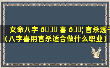 女命八字 🕊 喜 🐦 官杀透干（八字喜用官杀适合做什么职业）